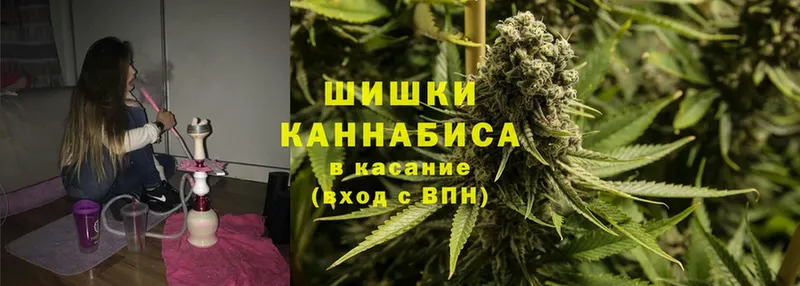 как найти наркотики  Заозёрск  Каннабис OG Kush 